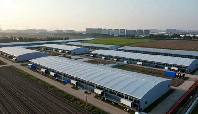 提升团队配合效率的全流程跟进实践